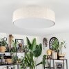 Foggia Deckenleuchte 50 cm Nickel-Matt, 3-flammig