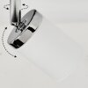 Cerejeiras Deckenleuchte LED Chrom, 2-flammig, Fernbedienung, Farbwechsler