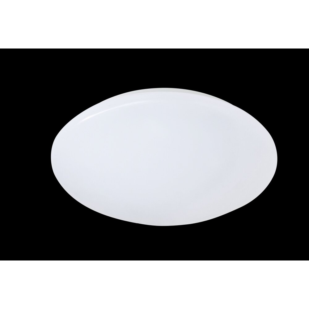 Reality PUTZ Deckenleuchte LED Weiß, 1-flammig main product photo