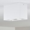 Baishan Deckenleuchte LED Weiß, 2-flammig