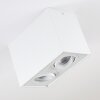 Baishan Deckenleuchte LED Weiß, 2-flammig
