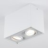 Baishan Deckenleuchte LED Weiß, 2-flammig