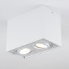 Baishan Deckenleuchte LED Weiß, 2-flammig