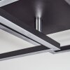 Doyon Deckenleuchte LED Schwarz, 1-flammig
