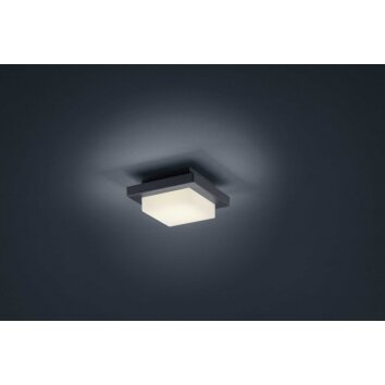 Trio HONDO Decken- Wandleuchte LED Anthrazit, 1-flammig