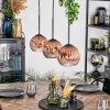 Ripoll Hängeleuchte Glas 15 cm Klar, Kupferfarben, 3-flammig