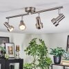 Edain Deckenleuchte LED Chrom, Nickel-Matt, 4-flammig