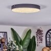 Elmar Deckenleuchte LED Schwarz, 1-flammig
