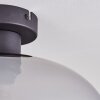 Apedo Deckenleuchte Glas 30 cm Rauchfarben, 1-flammig