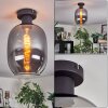Apedo Deckenleuchte Glas 20 cm Rauchfarben, 1-flammig