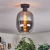 Apedo Deckenleuchte Glas 20 cm Rauchfarben, 1-flammig