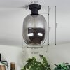 Apedo Deckenleuchte Glas 20 cm Rauchfarben, 1-flammig