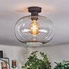 Apedo Deckenleuchte Glas 30 cm Klar, 1-flammig