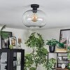 Apedo Deckenleuchte Glas 30 cm Klar, 1-flammig