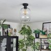 Apedo Deckenleuchte Glas 20 cm Klar, 1-flammig