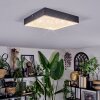 Esmar Deckenleuchte LED Schwarz, 1-flammig