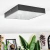 Esmar Deckenleuchte LED Schwarz, 1-flammig