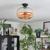Apedo Deckenleuchte Glas 30 cm Bernsteinfarben, 1-flammig
