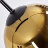 Koyoto Hängeleuchte Glas 15 cm Gold, 4-flammig