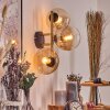 Gastor Wandleuchte Glas 15 cm Gold, Schwarz, 3-flammig
