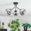 Ripoll Deckenleuchte Glas 15 cm Chrom, Klar, Rauchfarben, 3-flammig
