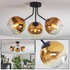 Koyoto Deckenleuchte Glas 15 cm Gold, Klar, 3-flammig