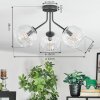 Ripoll Deckenleuchte Glas 15 cm Klar, 3-flammig
