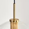Koyoto Hängeleuchte Glas 30 cm Gold, Schwarz, 1-flammig