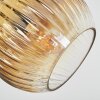 Koyoto Deckenleuchte Glas 15 cm Gold, Klar, 3-flammig