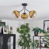 Koyoto Deckenleuchte Glas 15 cm Gold, Klar, 3-flammig