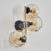 Gastor Wandleuchte Glas 15 cm Gold, Schwarz, 3-flammig