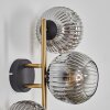 Ripoll Wandleuchte Glas 15 cm Gold, Schwarz, 3-flammig