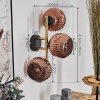 Ripoll Wandleuchte Glas 15 cm Gold, Schwarz, 3-flammig