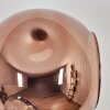 Ripoll Wandleuchte Glas 15 cm Gold, Schwarz, 3-flammig