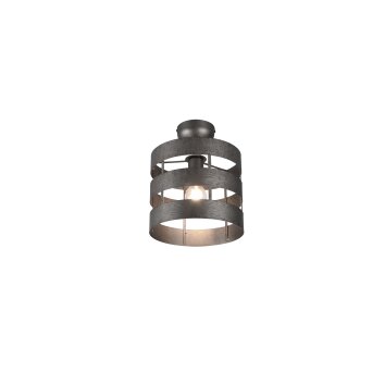 Reality Duncan Deckenleuchte LED Dunkelbraun, Nickel-Matt, 1-flammig Reality Duncan Deckenleuchte LED Dunkelbraun, Nickel-Matt, 1-flammig