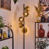 Koyoto Stehleuchte Glas 15 cm Gold, Klar, 5-flammig