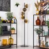 Koyoto Stehleuchte Glas 15 cm Gold, Klar, 5-flammig