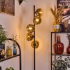 Ripoll Stehleuchte Glas 15 cm Gold, Klar, 5-flammig