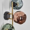 Ripoll Wandleuchte Glas 15 cm Gold, Schwarz, 3-flammig