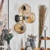 Ripoll Wandleuchte Glas 15 cm Gold, Schwarz, 3-flammig