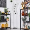 Ripoll Stehleuchte Glas 15 cm Klar, 5-flammig