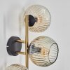 Ripoll Wandleuchte Glas 15 cm Gold, Schwarz, 3-flammig
