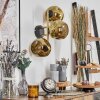 Ripoll Wandleuchte Glas 15 cm Gold, Schwarz, 3-flammig