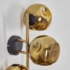 Ripoll Wandleuchte Glas 15 cm Gold, Schwarz, 3-flammig