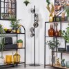 Koyoto Stehleuchte Glas 15 cm Klar, Rauchfarben, 6-flammig