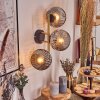 Ripoll Wandleuchte Glas 15 cm Gold, Schwarz, 3-flammig
