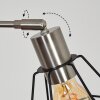 Yaak Stehleuchte Nickel-Matt, Schwarz, 5-flammig