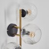 Ripoll Wandleuchte Glas 15 cm Gold, Schwarz, 3-flammig