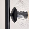 Ripoll Stehleuchte Glas 15 cm Klar, 6-flammig