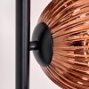 Ripoll Stehleuchte Glas 15 cm Klar, Kupferfarben, 6-flammig